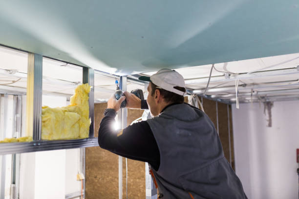 Best Insulation Installation Services in Lenwood, CA