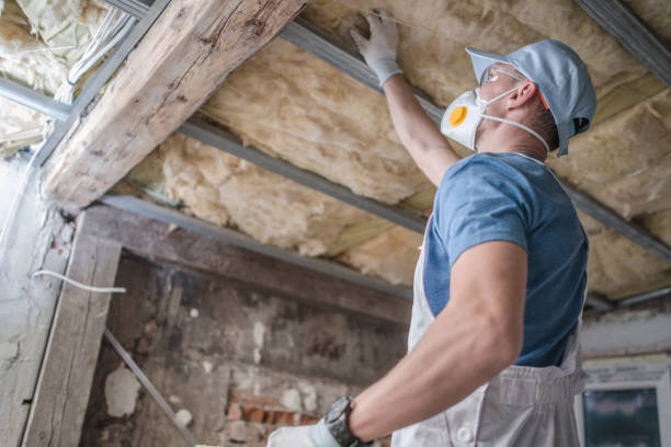 Best Insulation Maintenance and Repair in Lenwood, CA