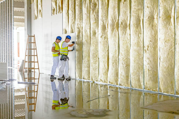 Best Types of Insulation in Lenwood, CA